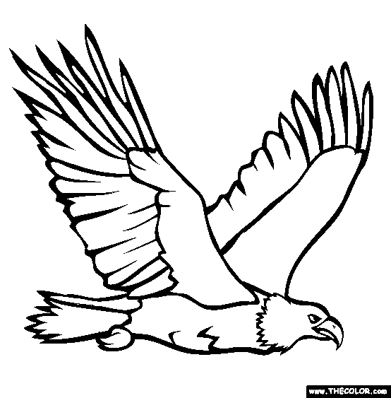 eagle coloring pages bird - photo #11