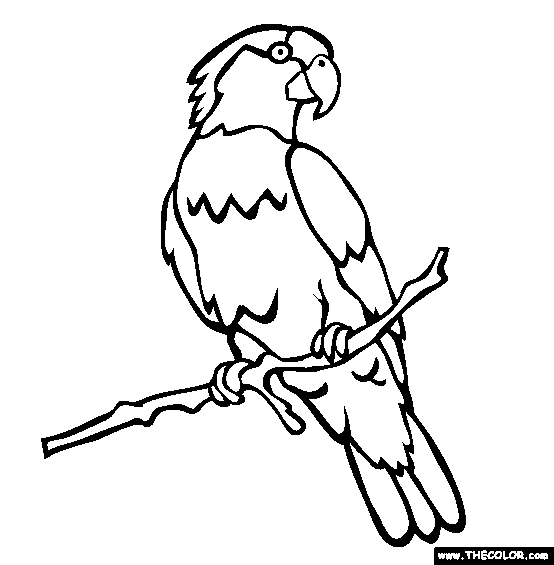 Animal Coloring Pages February 2010 Parrot Tropical Birds