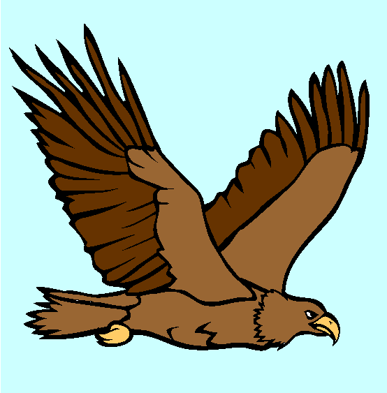 Bald Eagle Memorial Day Coloring Page