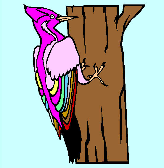 Ivory Billed Woodpecker Coloring Page