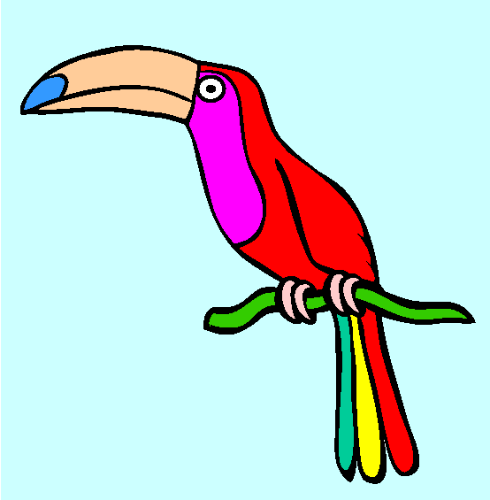 Toucan Coloring Page