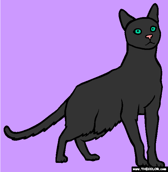 Havana Brown Cat Online Coloring Page