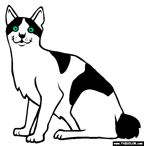 Japanese Bobtail Cat Online Coloring Page