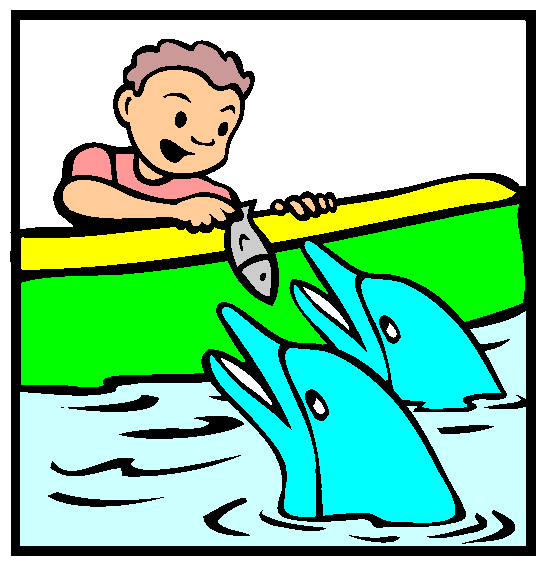 Feeding Dolphins Coloring Page
