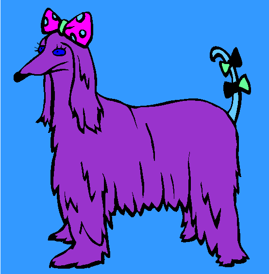 Afghan Hound Dog Coloring Page