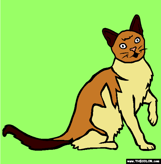 European Burmese Cat Online Coloring Page