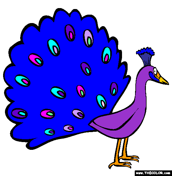 Peacock Coloring Page