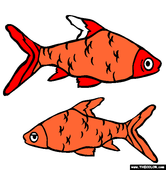 Bala Shark Coloring Page