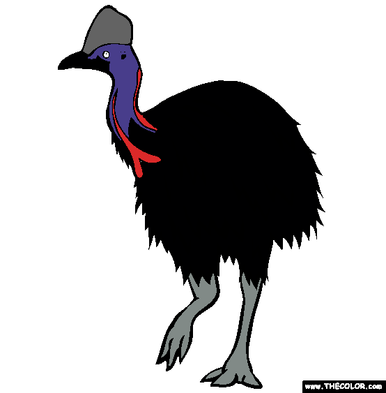 Southern Cassowary Coloring Page