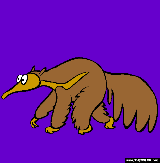 Anteater Coloring Page