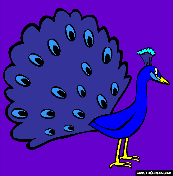 Peacock Coloring Page