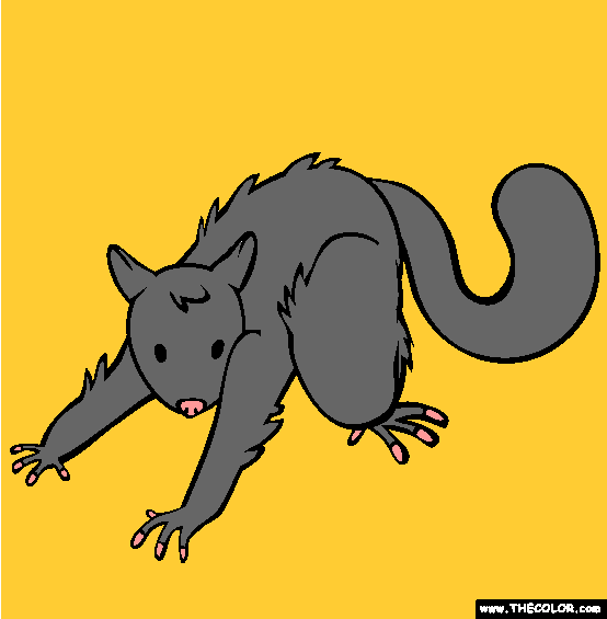 Possum Coloring Page