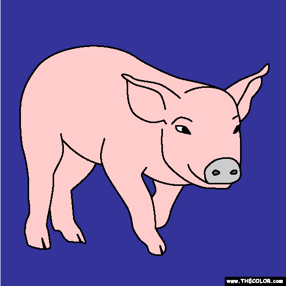 Baby Pig Coloring Page