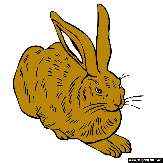 Albrecht Durer - Young Hare Painting Coloring page