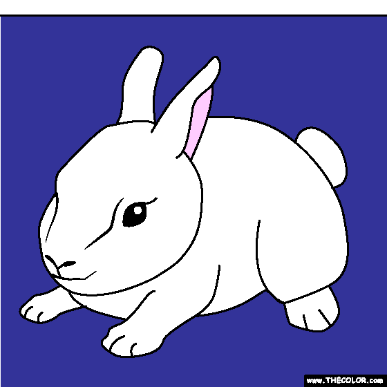 Baby Bunny Coloring Page