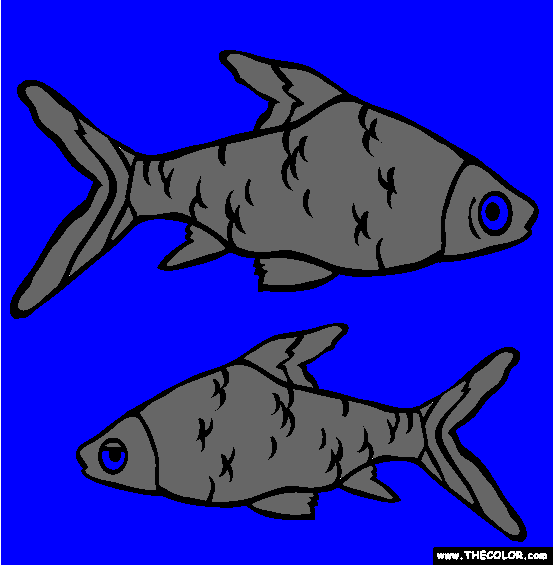 Bala Shark Coloring Page
