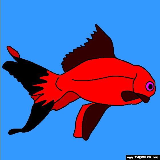 Gold Fish Coloring Page