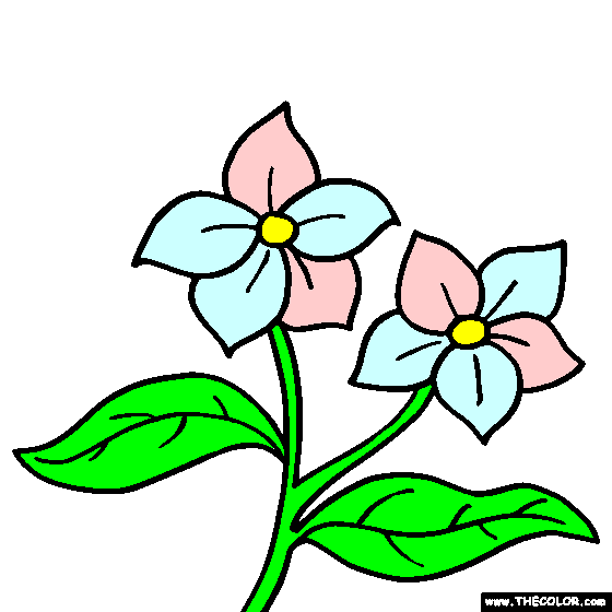 Free Online Coloring Pages - TheColor