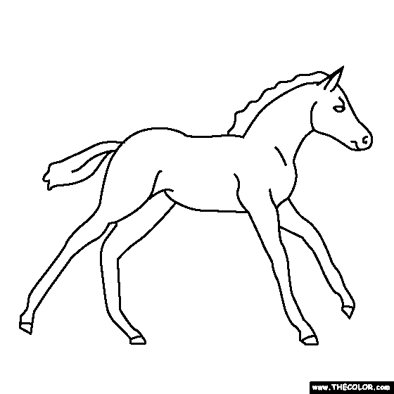 Baby Horse Coloring Page Pony Coloring