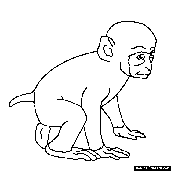 cute coloring pages of baby monkeys