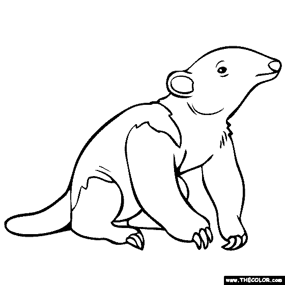 Baby Animals Online Coloring Pages Page 1