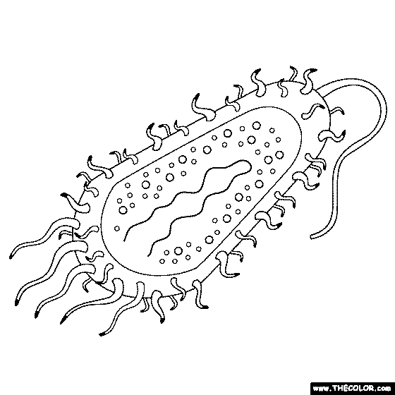 Halloween 15+ Coloring Pages For Nature : Free Printable 12+ Coloring Pages For Nature