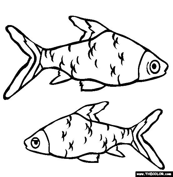 shark online coloring pages  thecolor