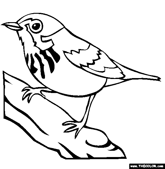 9100 Bird Outline Coloring Pages For Free