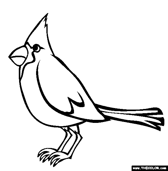 Download Bird Online Coloring Pages