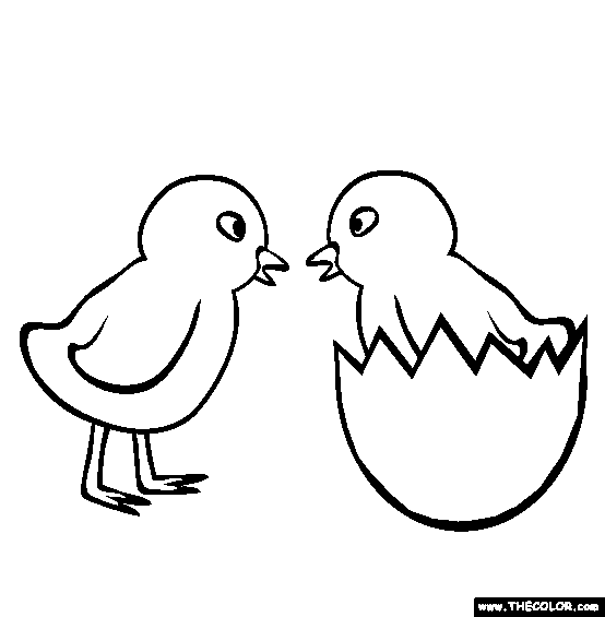 Download Chicks Coloring Page Free Chicks Online Coloring