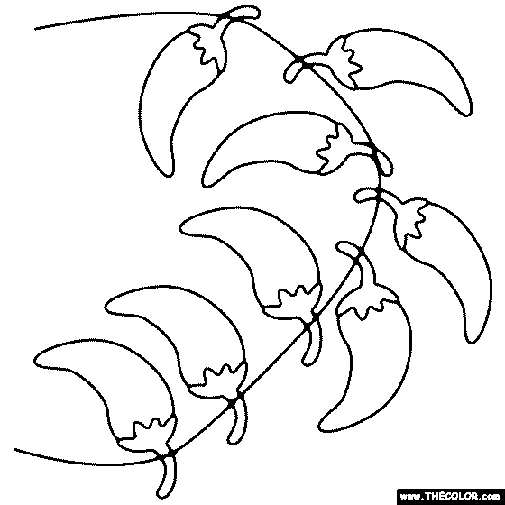 Chili Pepper Garland Coloring Page