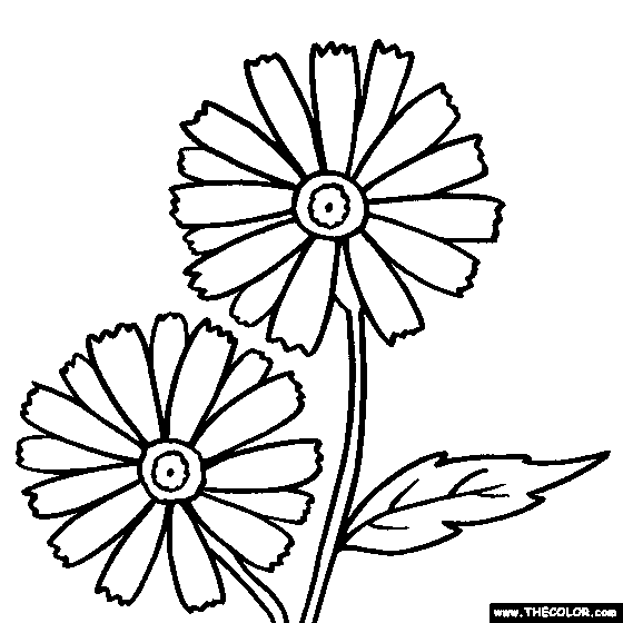 Download Flowers Online Coloring Pages Thecolor Com