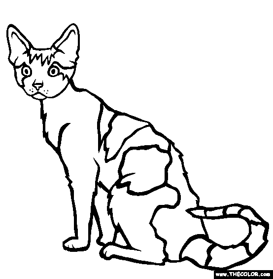 warrior cats coloring pages printable