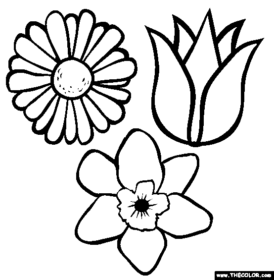 Download Flowers Online Coloring Pages | TheColor.com