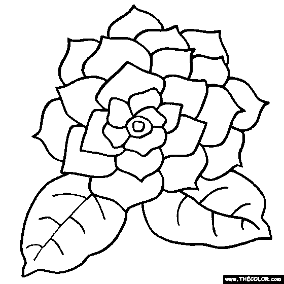 Gardenia Flower Online Coloring Page