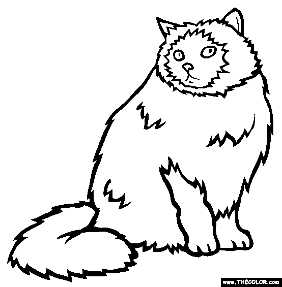 87 Top Himalayan Cat Coloring Pages  Images