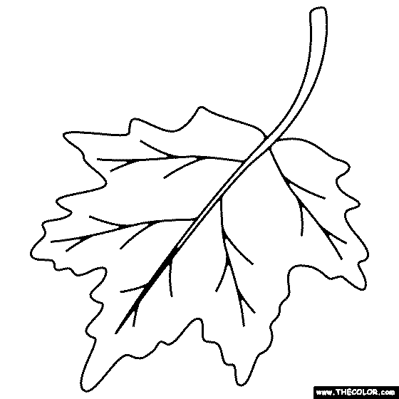 Leaf Coloring Page