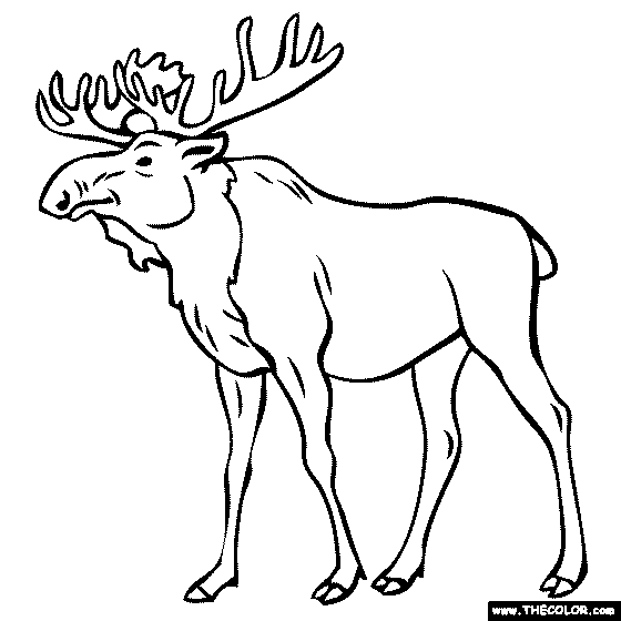 Online Coloring Pages Starting with the Letter M (Page 8)