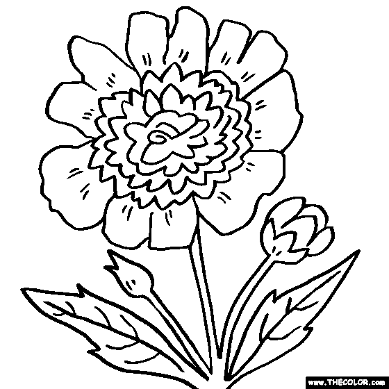 Download Flower Coloring Pages Color Flowers Online