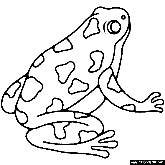 Poison Dart Frog Coloring Page