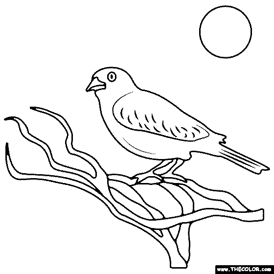 Resting Bird Coloring Page