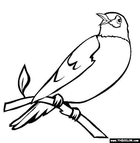 Download Free Online Coloring Pages - TheColor