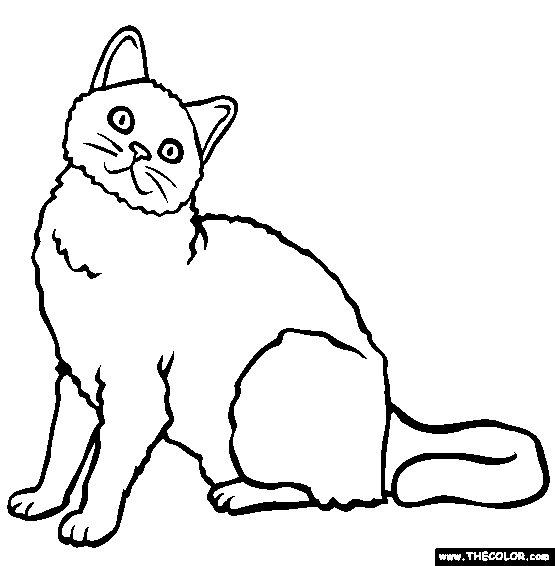 cats online coloring pages