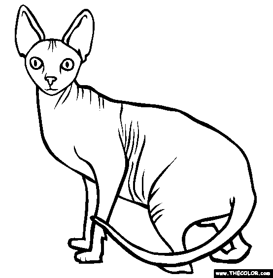cats online coloring pages