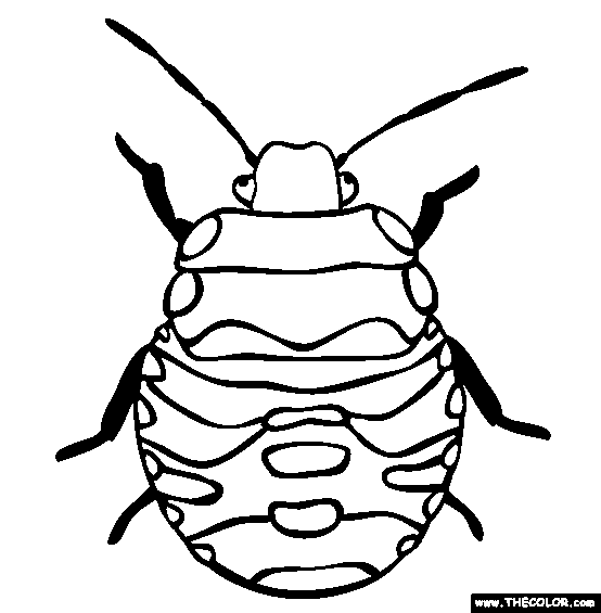 970 Coloring Pages Bugs Pictures
