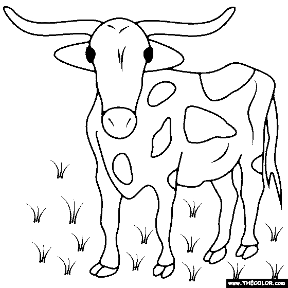 Texas Longhorn Coloring Page