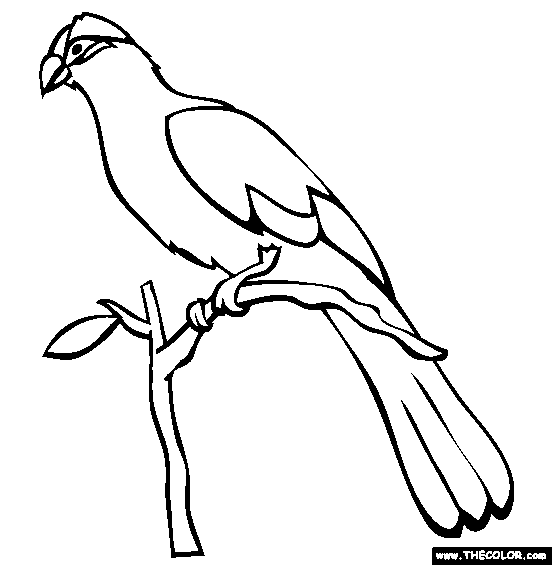 Bird Online Coloring Pages