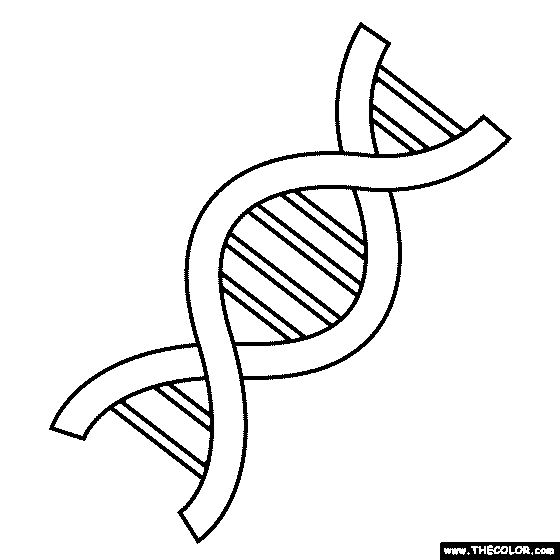 Dna And Rna Coloring Activity Pages